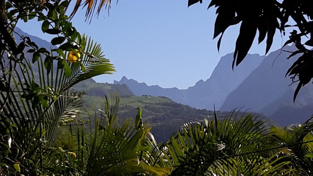 La Villa Des Palmes Bois d'Olive Buitenkant foto